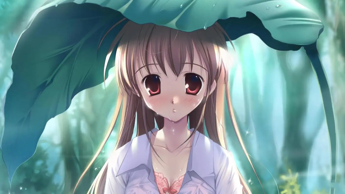 站长的头像网赚项目-副业赚钱-互联网创业-独家轻创IP星泽云创